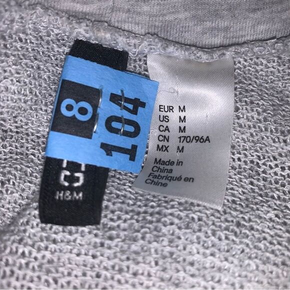 H&M Geniale Grey Thin Sweater Hoodie - Picture 5 of 5